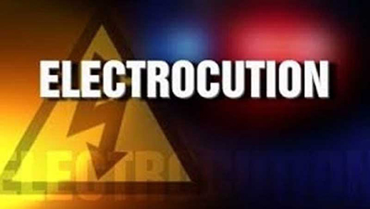 elecyocy